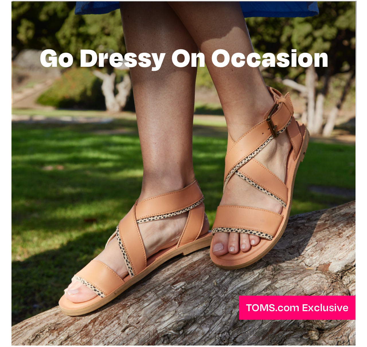 Dressy toms store